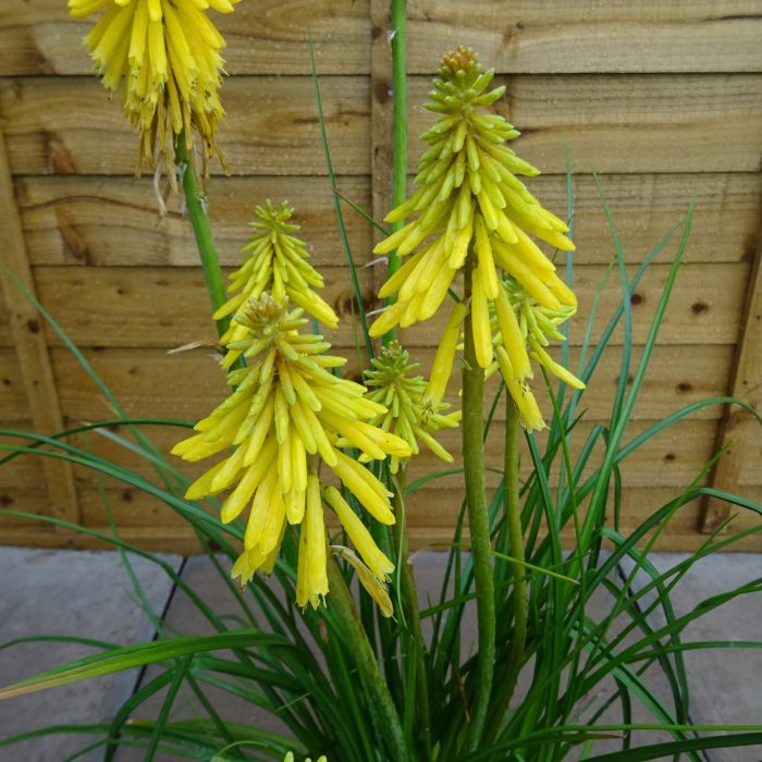 8065a52f39d80f489e92fa478c3baab2.jpg 343a9aac-f545-4683-9e04-651c64bf4284