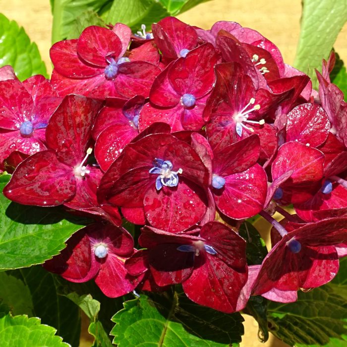 80692b1c2a9b592192acacb384d3fd28.jpg 26a79362-651a-4d31-8a21-9555ad2950f8