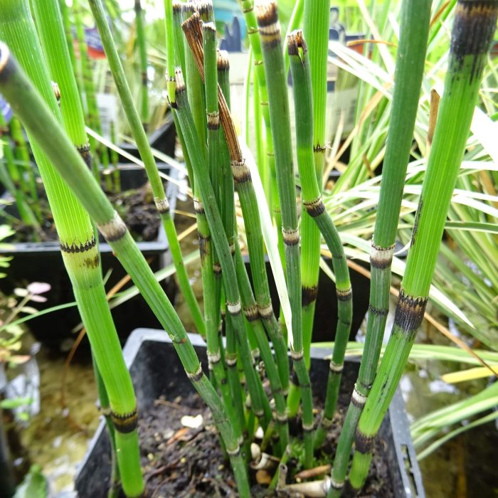 744c99cf-e1d0-4edf-b1a8-d7a9c6810ca7