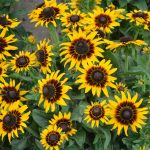 0d0786b2-c6b7-4df2-b56d-eda34229d088