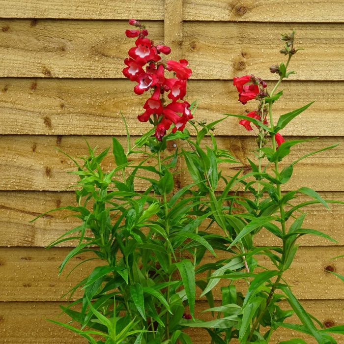 9ab3bb56-320a-47a4-8fdf-74b3e5e2dcee