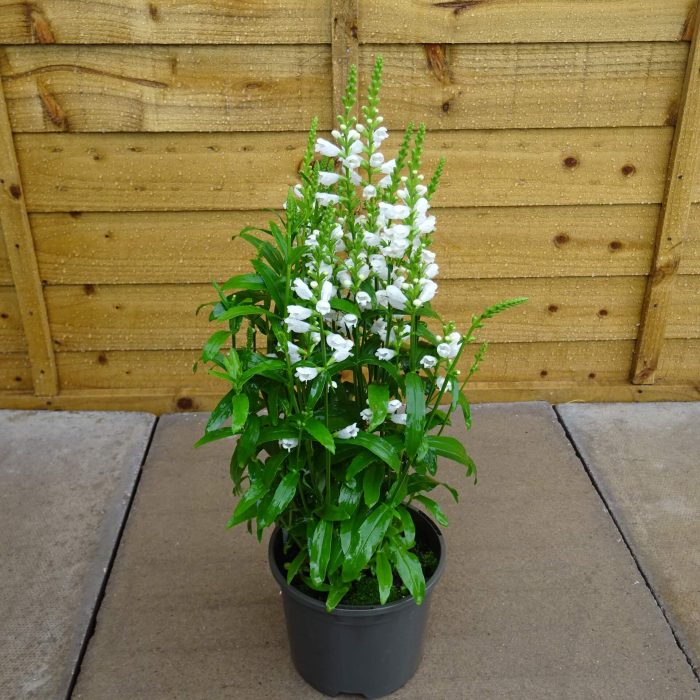 95f95c1e-d331-41d9-9273-045a6a165c7b