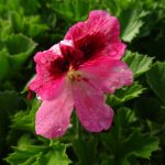 76f20493-02fd-49e4-9086-a243ce87e5f2