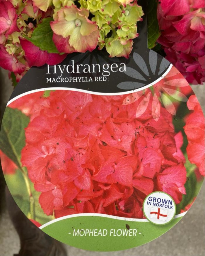 816688dbea36ae3d33941075be1b25c6.jpg e5687c7e-b27e-45fe-b811-f90b60cb6216