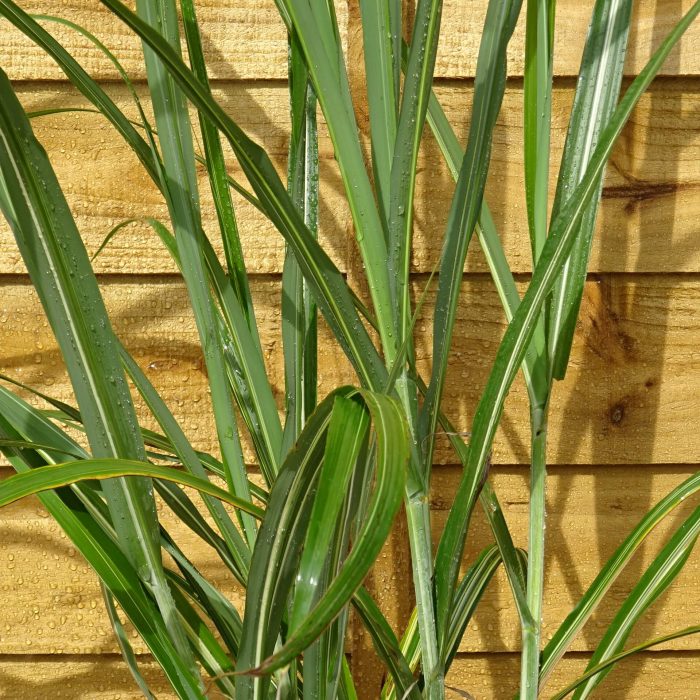 6dbe717b-31be-42b1-857b-9a1c4b1ca221