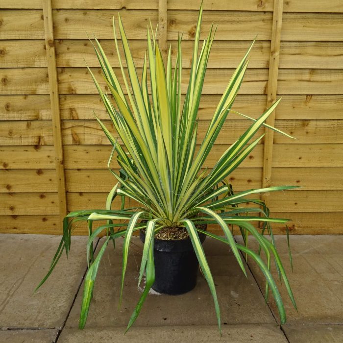 8752e20a-abcb-449b-b6ff-3f3536c99e4f