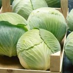 a204be9d-4bbb-4e9e-a2c6-33233d55eb0e