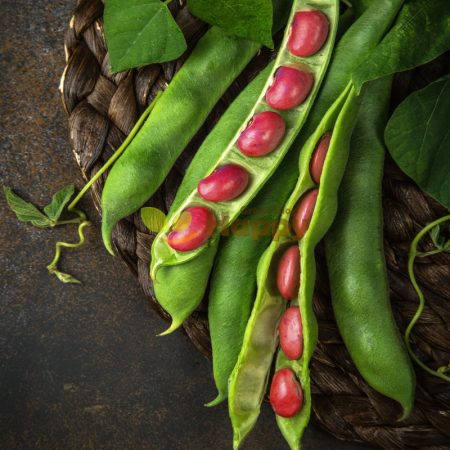 caeb1be2-3748-4767-8a5e-caa5b44189dd