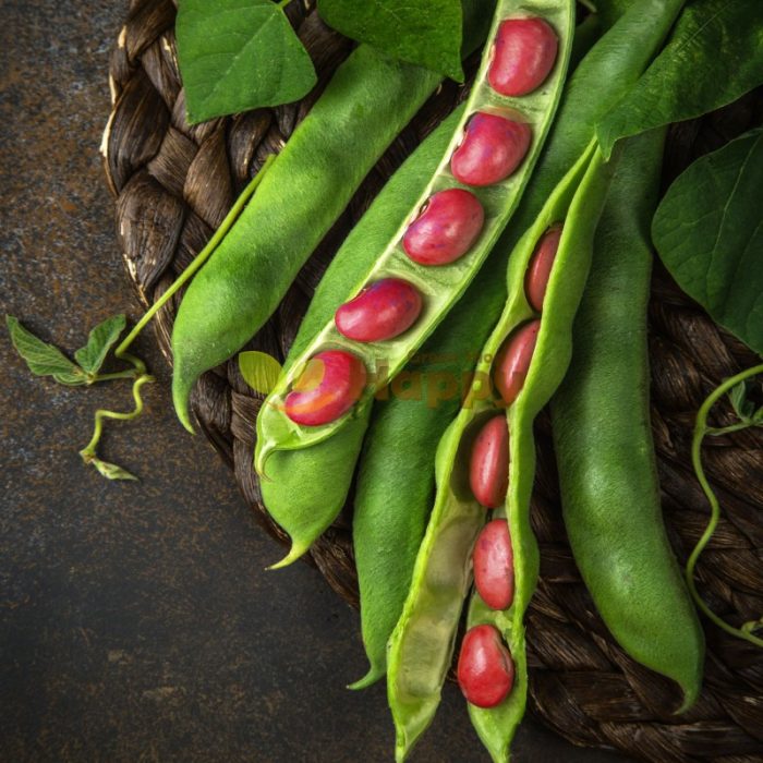 caeb1be2-3748-4767-8a5e-caa5b44189dd