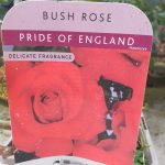 5c9e8b56-4738-4cd0-b8ba-b3ce2a8d9c59