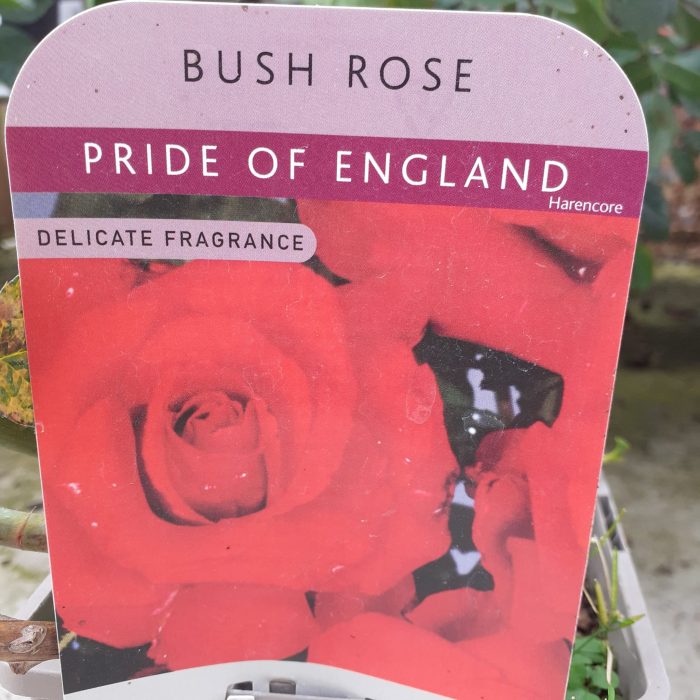 5c9e8b56-4738-4cd0-b8ba-b3ce2a8d9c59