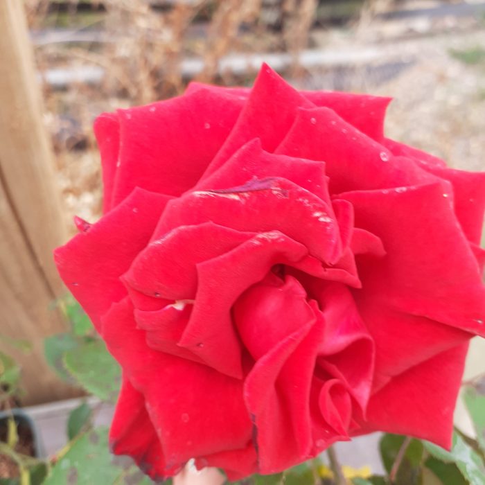 a76669f8-76c0-4edd-8653-a0fdfecff341