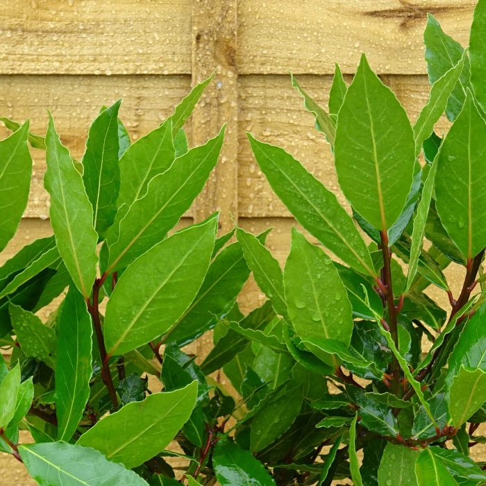 a94dd30f-64f2-440b-8cce-d25ed43faab9