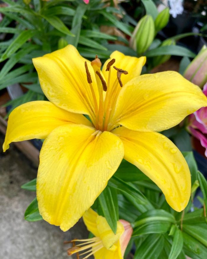 94c02115-c6e9-40c0-b0e7-2ce6f03a7204