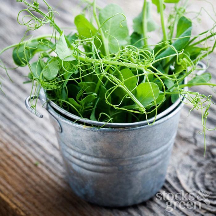 86445e640e6501f4bd6ad77909b74832.jpg 1451d091-4db7-4042-937b-e24ca453bf9e