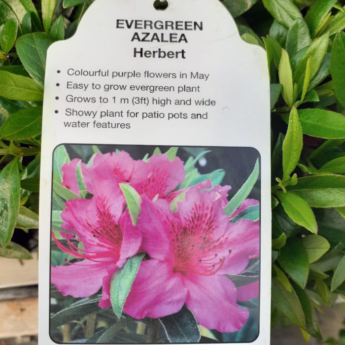 a213147e-054c-4a3b-aac9-316abc6cbc92