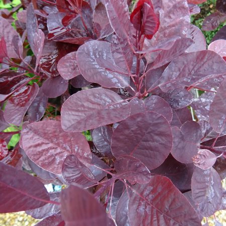 36a4ca15-95aa-4a4c-a8a1-613fd125b384