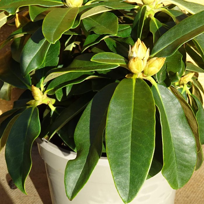 86d12320bf5081165e30c3a668b11150.jpg 656a1306-5c7e-4009-862d-db2b9f658d91