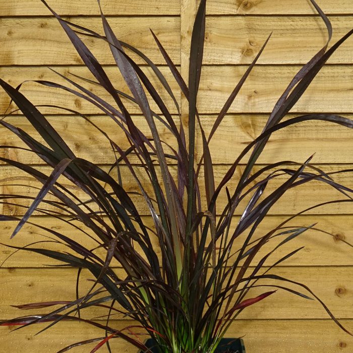 6cd6c84e-dc82-4c40-b053-b76a307389e7