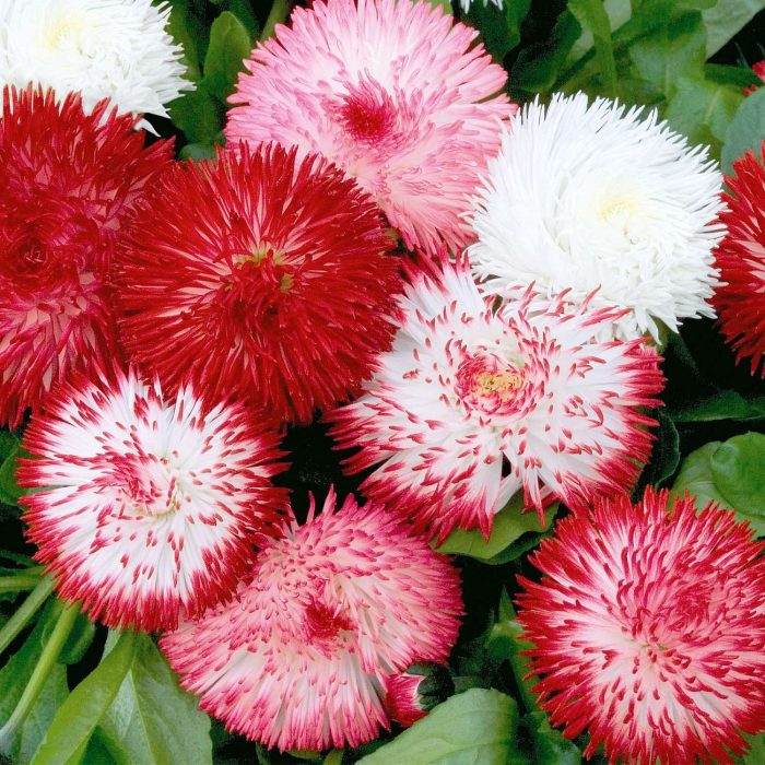 45bebc32-0eba-4be8-b60c-cf5e7a2bb25f