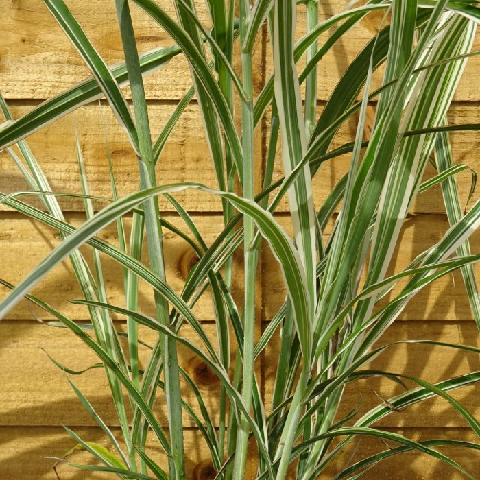 424cae74-ce57-42b4-b89a-47c71879d018