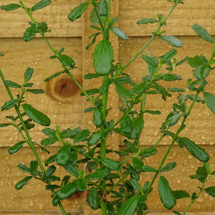 87f4bd589c0f69016c38a9c7a649b16a.jpg fa59bda2-e65f-4718-bf5c-b36d022c79ad