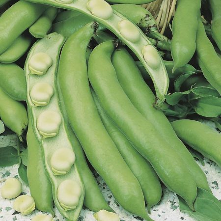 408c2f5d-49c1-4ad9-a7ce-37d1e2988cd7