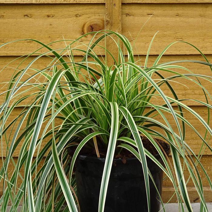 21301200-2707-4781-97ec-db2c559dbaea