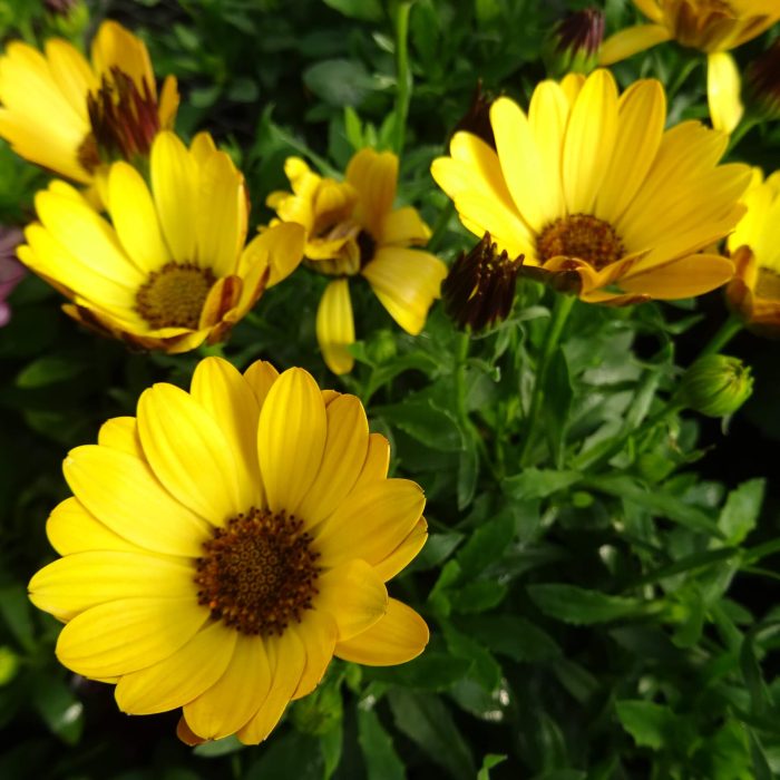e70ca6c9-f63b-4447-a5f1-e6d19d37325b