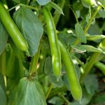 0c5d2b50-131a-4b31-8bbe-1ea3bd7881e6