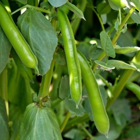 0c5d2b50-131a-4b31-8bbe-1ea3bd7881e6