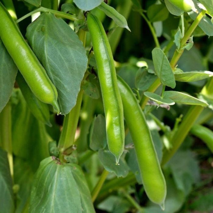 0c5d2b50-131a-4b31-8bbe-1ea3bd7881e6