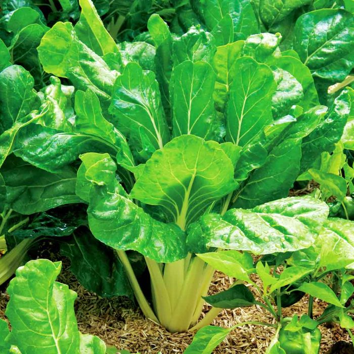 89252cfa4a0e758e1cfb6d11de39e461.jpg 206adf42-5f59-4602-97cf-060884a1a2a8