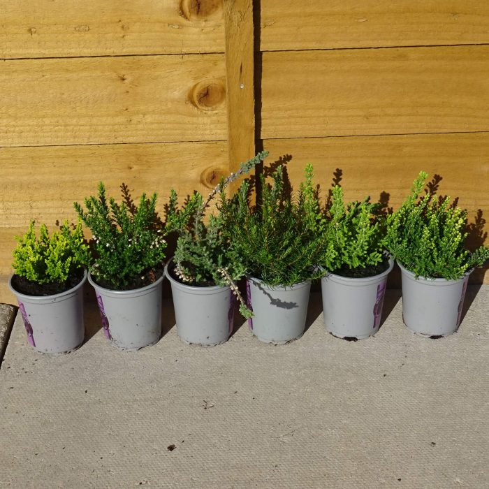 e353033b-b089-4dd3-9d95-9f2d4aed9f51