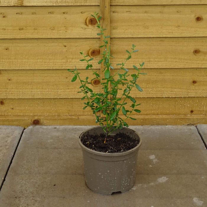 899f4e829ff484958a7859215b504aac.jpg a7a3e50d-24b8-4c27-9c1a-03f735815e5b