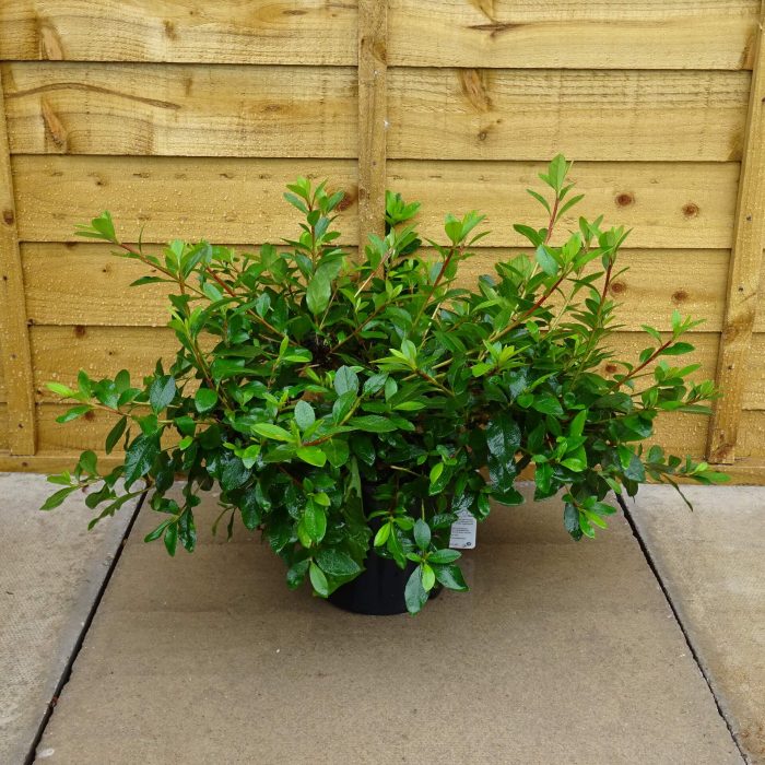 c7e4ee55-ab32-4f3c-a6d9-b8be4040df7a