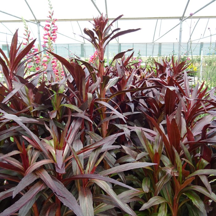 95248a40-22f9-4be6-9494-3f093ac86d6c