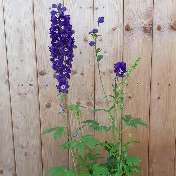 9a8a624b-f5cf-46dd-9082-38a15381530b