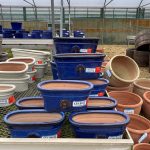 d6fcd411-6262-4cd2-a06a-43a7dc74a235