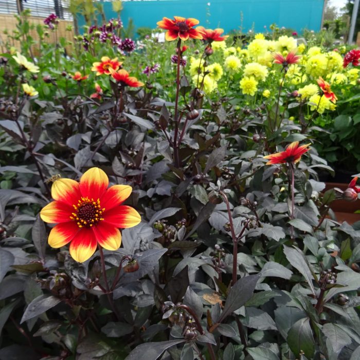 b04c7fef-8671-48fb-ac08-399bbfd4ba1f