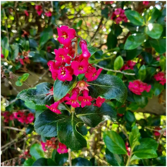 8be2a3972623deefbcbe3ab2f9be77e2.jpg 55d48380-9282-4921-b7fd-e75106e1137b