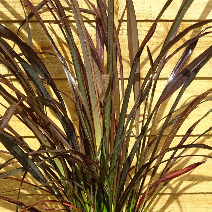 b79673ab-922a-48e7-be98-823e48f10112