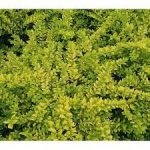 4f00fea4-3701-4724-ac9a-ad87b716bda5