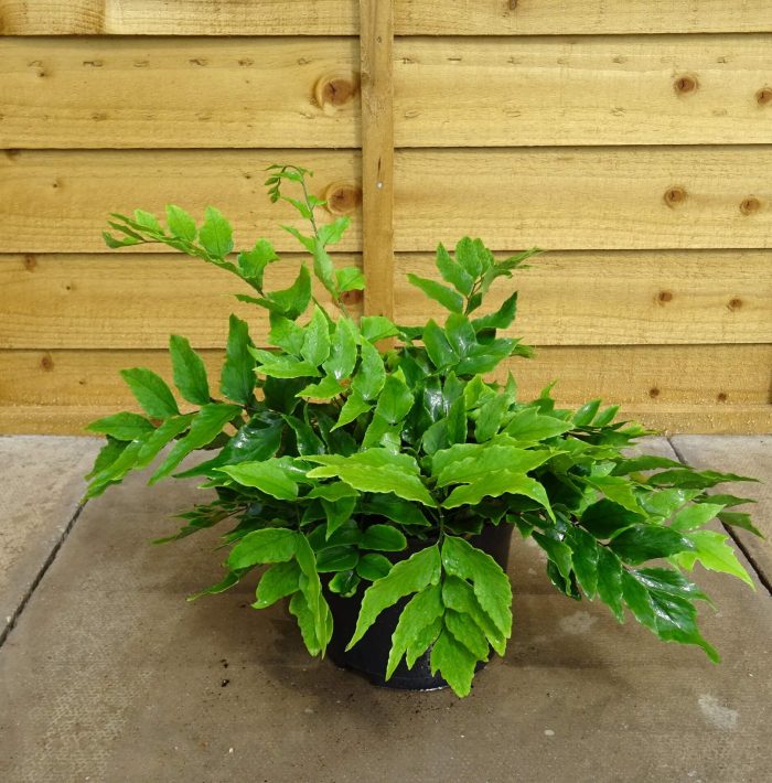 f8f9622d-6257-45c5-af2b-2a62d89816c2