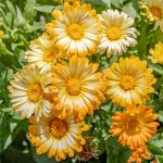 62b6f4c2-7b2a-48cb-835f-24139f2a0436