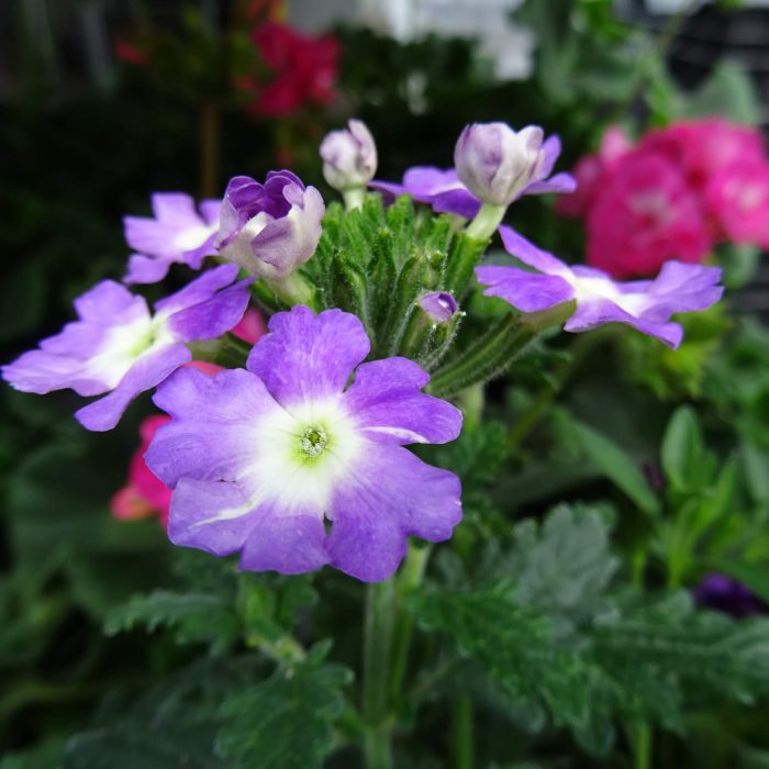 f5aa3e63-16b4-4e88-9961-5fbabfe28124