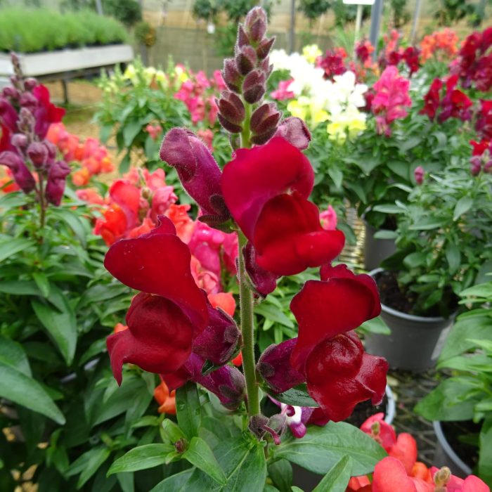 61191a22-9925-45fe-b83b-154351901073