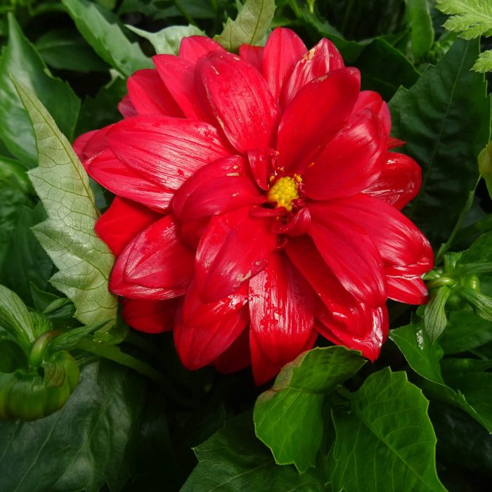 ead2b4c9-5be1-45a1-ac7e-d4ac6ab9b643