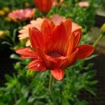 1854a718-d42c-4f9a-b633-81d24c77e2c5