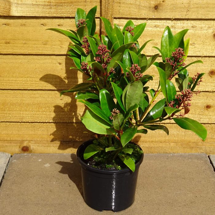 d045b703-1ec2-432d-aa55-43107c7b0f43